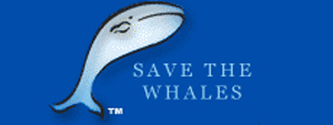 savethewhales